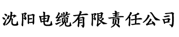 大结团闪闪发光全文电缆厂logo